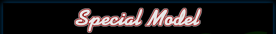 SPICE16 Special Model