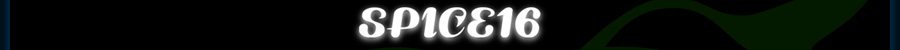 SPICE16 Special Model